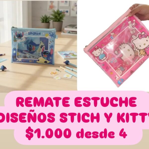 Estuches diseños 1000